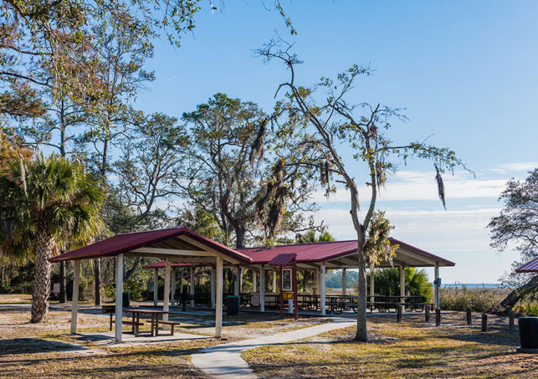 Picnic pavilion and trees at Blythe Island Regional Park in Brunswick, Georgia