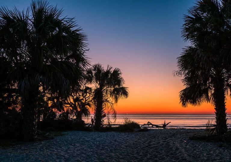 Coastal scenery at Driftwood Beach on Jekyll Island, Georgia