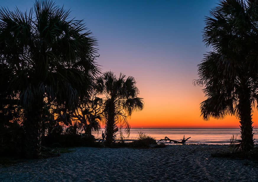 Coastal scenery at Driftwood Beach on Jekyll Island